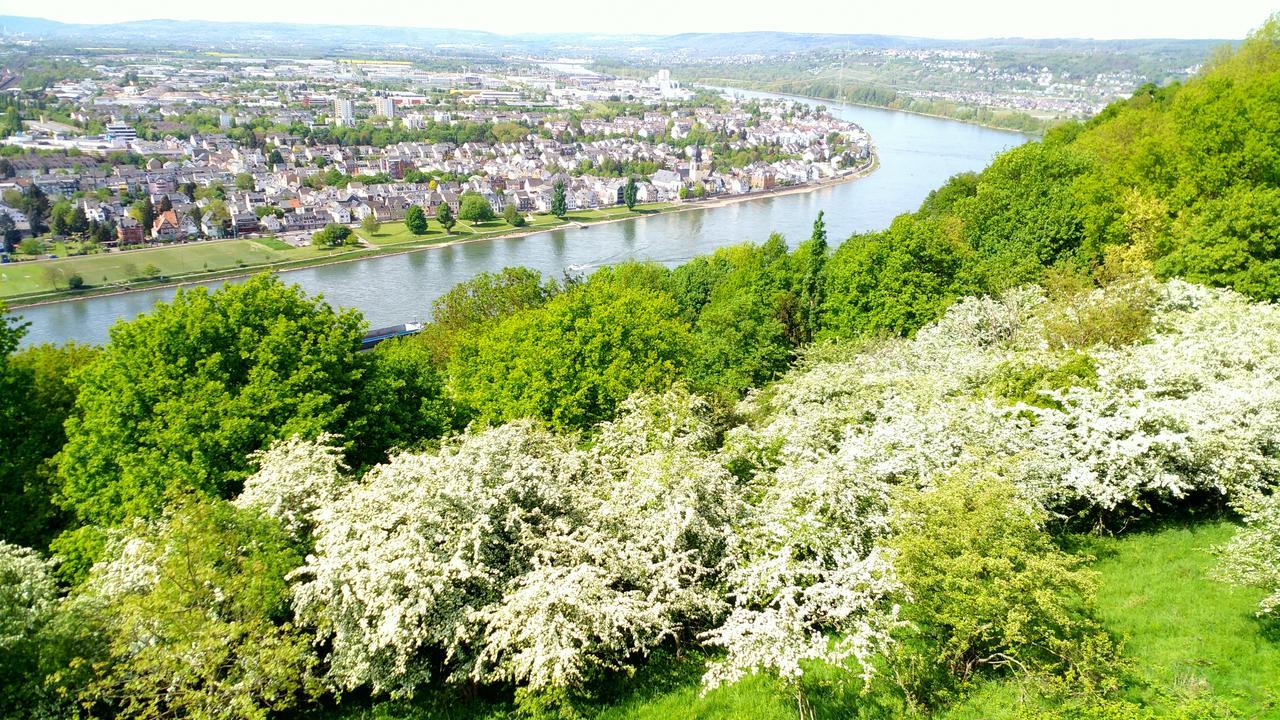 Hotel Ohm Patt Boppard Exterior foto