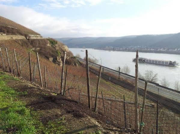 Hotel Ohm Patt Boppard Exterior foto